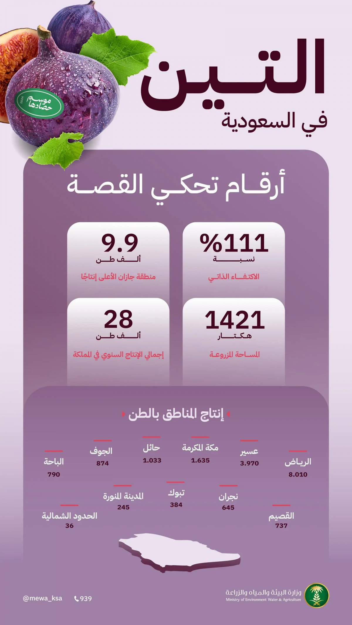 "البيئة": المملكة تحقق الاكتفاء الذاتي من التين بنسبة 111% وجازان والرياض تتصدران بإنتاج 10 آلاف و8 آلاف طن سنويًا